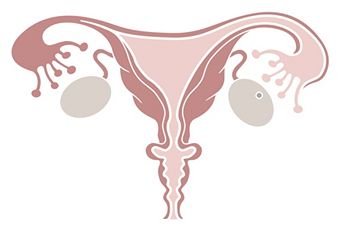 bleeding-during-ovulation