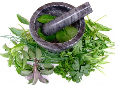 herbal remedies for early abortion