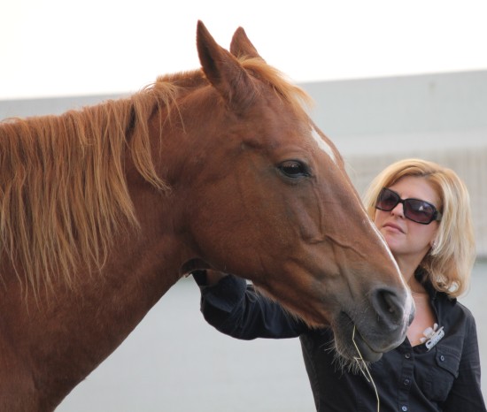 horses can help you heal from addiction