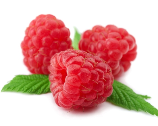 red raspberry leaf benefits the female reproductive system