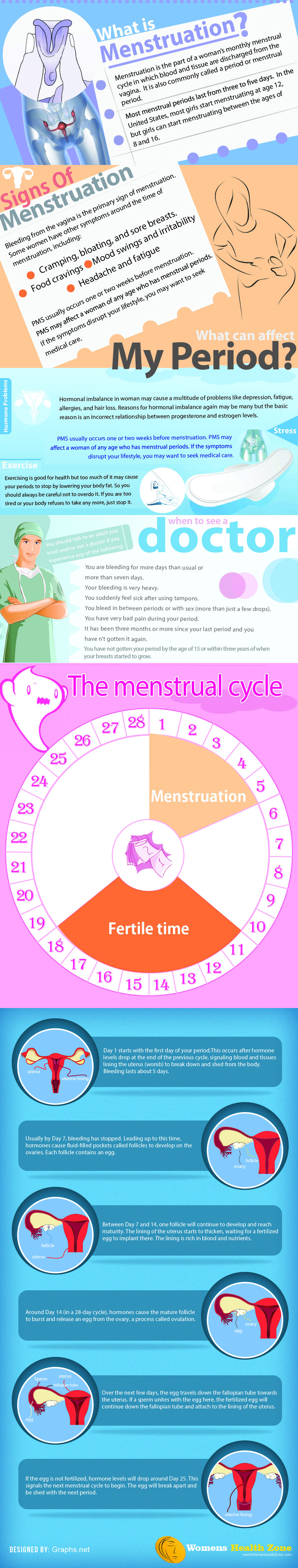 Menstruation and the Menstrual Cycle
